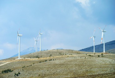 DSCF6514